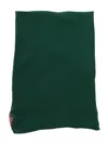 Max Mara Logo Patch Scarf In Green