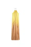 Max Mara Halter Neckline Backless Dress In Multi