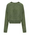 Max Mara Dionigi Green Crewneck Jumper In Grey