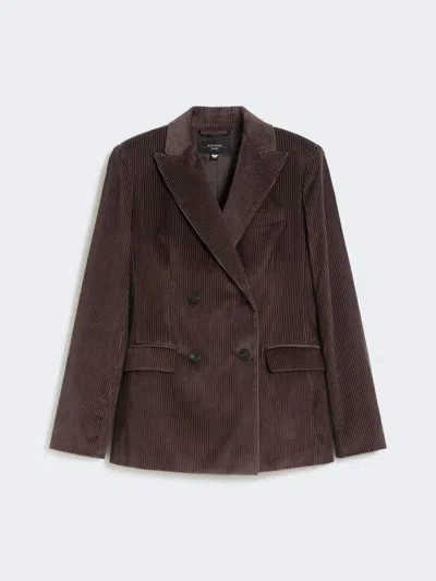 Max Mara Double-breasted Velvet Blazer In Brown