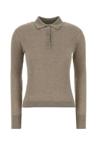 Max Mara Dove Grey Cashmere Blend Gitano Polo Shirt In Brown