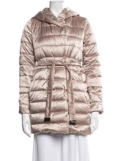 Pre-owned Max Mara Down Coat In Multicolor