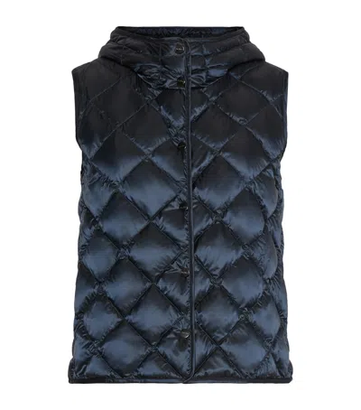 Max Mara Down Padded Quilted Gilet In Navy