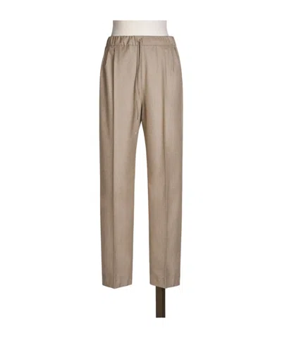 Max Mara Drawstring Casual Pants In Brown