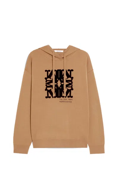 Max Mara Drawstring Long-sleeved Hoodie In Brown