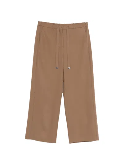 Max Mara Drawstring Trousers In Brown