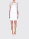 Max Mara Embroidered Woven Mini Dress In Gray
