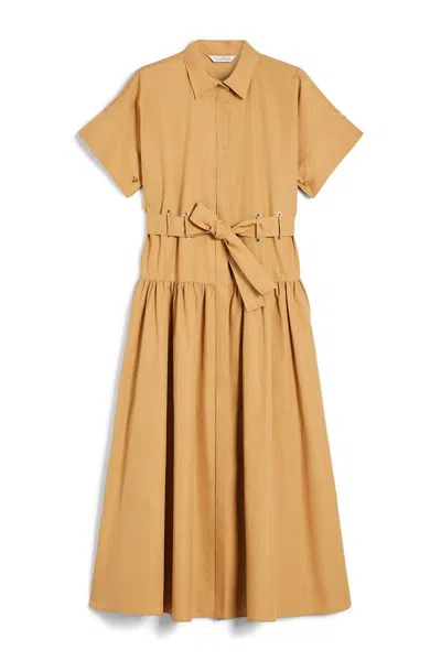 Max Mara Dresses