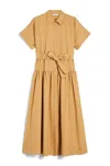 Max Mara Agoraio Cotton Poplin Shirt Dress In Nude