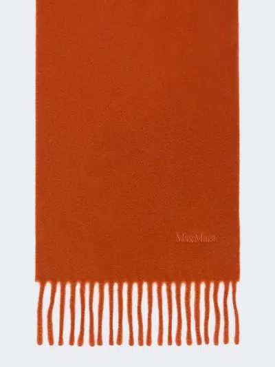 Max Mara Écharpe Brodée En Laine In Orange