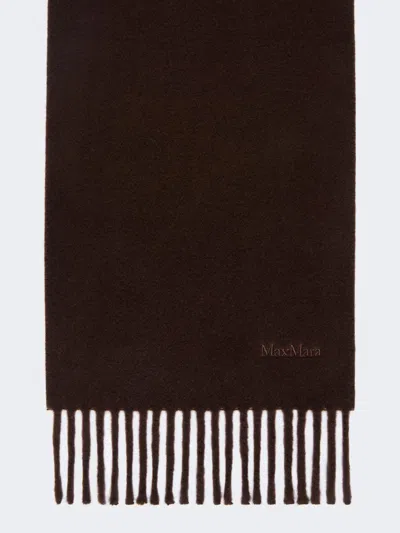 Max Mara Écharpe En Laine Teinte En Fil In Brun