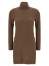 Max Mara Edison Turtleneck Mini Dress In Brown