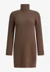 Max Mara Edison Turtleneck Mini Dress In Brown