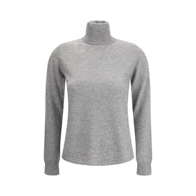 Max Mara Educata Turtleneck In Gray