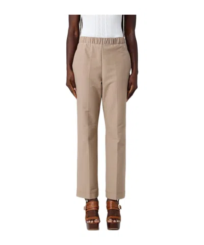 Max Mara Elastic Waist Casual Pants In Brown