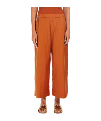Max Mara Woman Pants Rust Size 6 Cotton In Orange