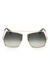 Max Mara Women's Gold & Green Gradient Elsa Petite Aviator Sunglasses In Gold/gradient Green