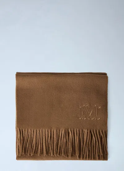 Max Mara Embroidered Fringe Wool Scarf In Brown