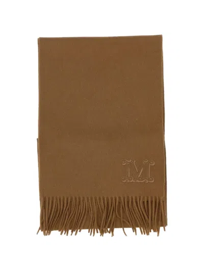 Max Mara Embroidered Fringed Scarf In Brown