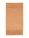 Max Mara Embroidered-logo Scarf In Brown