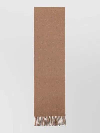 Max Mara Embroidered Wool Scarf In Brown