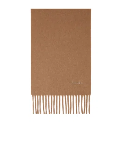 Max Mara Embroidered Wool Scarf In Brown