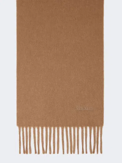 Max Mara Embroidered Wool Scarf In Brown