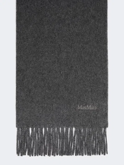 Max Mara Embroidered Wool Scarf In Purple