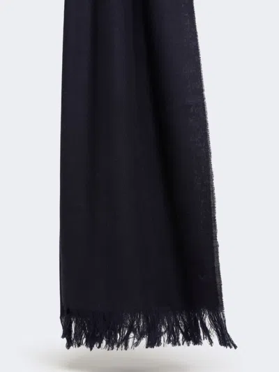 Max Mara Embroidered Wool Stole In Blue