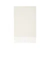 Max Mara Embroidery Cashmere Scarf In White