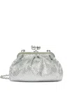 Max Mara Emy Embellished Clutch Bag In Silver
