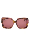 Max Mara Women's D107 56mm Square Sunglasses In Coloured Havana / Bordeaux