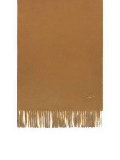 Max Mara Cashmere Stole With Embroidery And Fringing In Brown