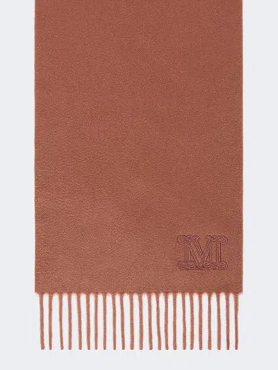 Max Mara Étole En Cachemire Avec Broderie Du Monogramme In Brown