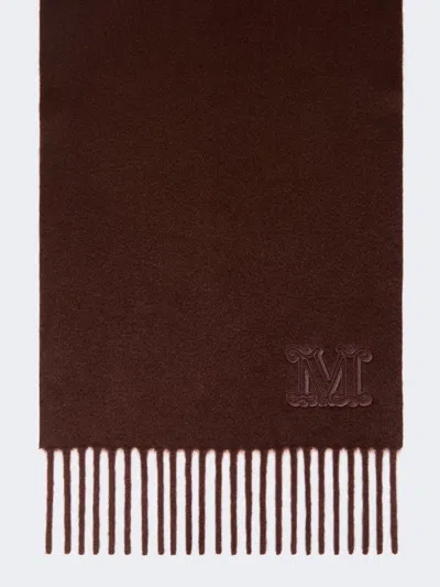 Max Mara Étole En Cachemire Avec Broderie Du Monogramme In Rouille