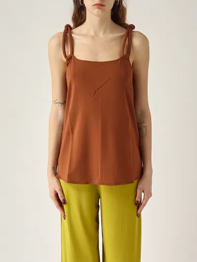 Max Mara Faida Top-wear In Brown