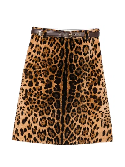 Max Mara Falange Leopard-print Belted Skirt In Animal Print