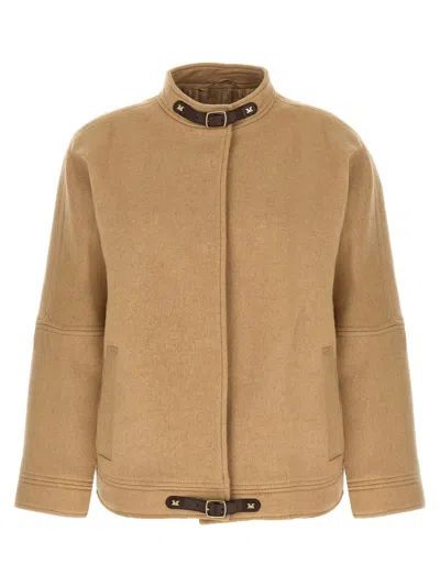 Max Mara Fascia Bomber Jacket In Brown