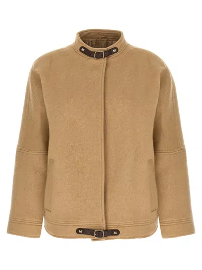 Max Mara Fascia Bomber Jacket Stand Collar Buckle In Brown