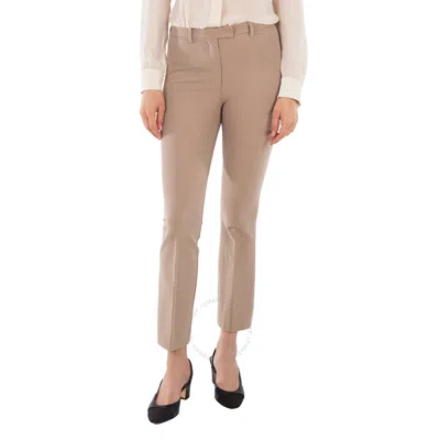 Max Mara Velvet Effect Pants With Straight Fit In Brown