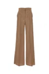 Max Mara Fernet Wide Leg Pants In Brown