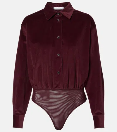 Max Mara Fertile Cotton Velvet Bodysuit In Burgundy