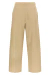Max Mara Filovia Pants In Brown