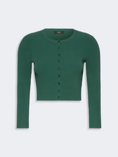 Max Mara Fine Rib-knit Viscose Yarn Cardigan In Green