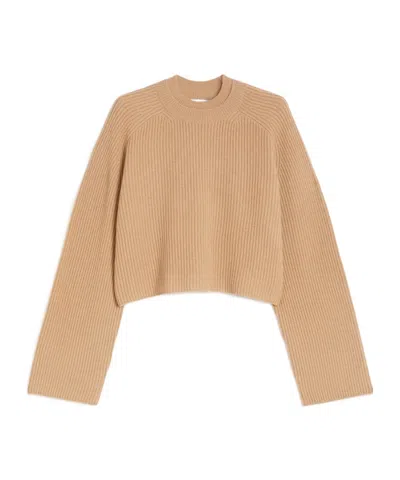 Max Mara Fishermans Rib-knit Wool And Cashmere Jumper In Brown