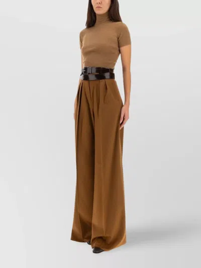 Max Mara Fitted Ribbed Turtleneck Short Sleeve Top In Brown