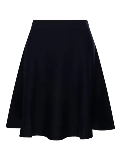 Max Mara Flared Skirt In Blue