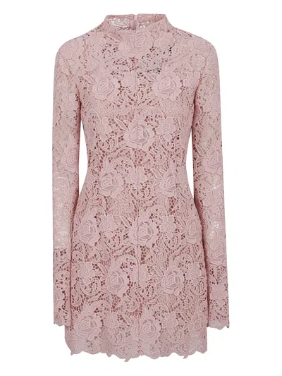 Max Mara Floral-lace Mini Dress In Pink