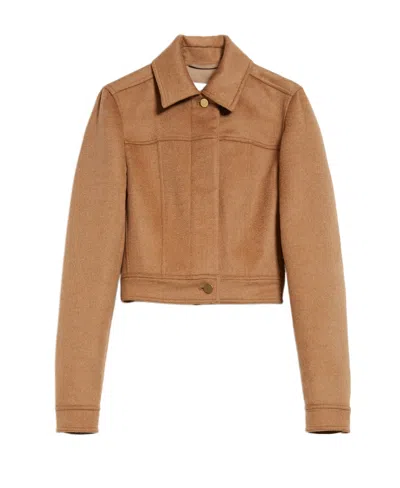 Max Mara Foglia Cropped Jacket In Brown