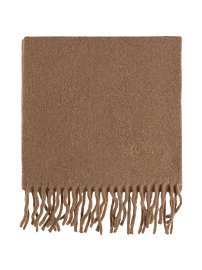 Max Mara Fragore Fringed Logo-embroidered Scarf In Pattern